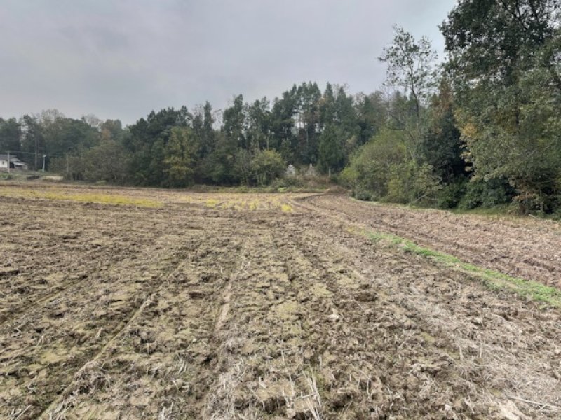 邻水县护邻乡堰湾前面大田