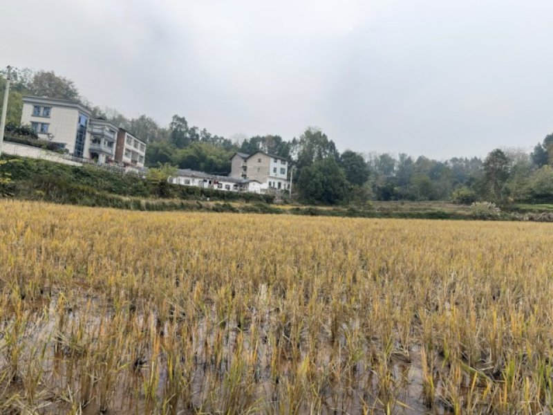 护邻乡月亮村大地湾