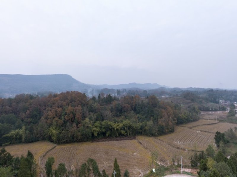 邻水县护邻乡老弯