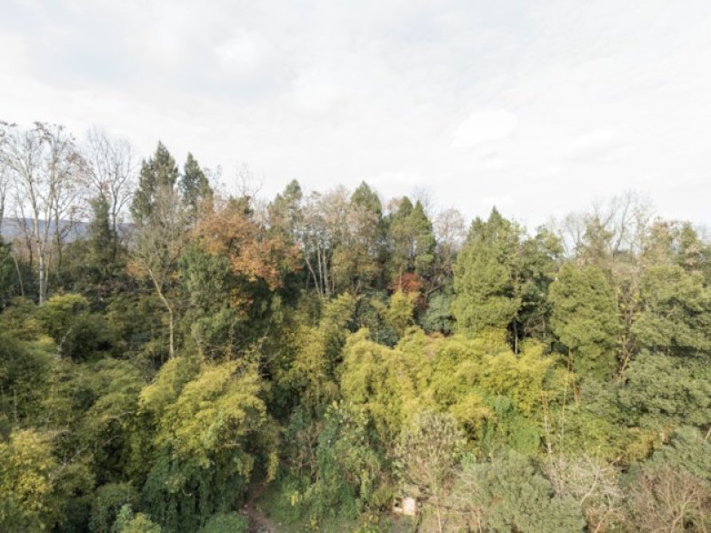 四川邻水护邻乡川河村一组堰弯